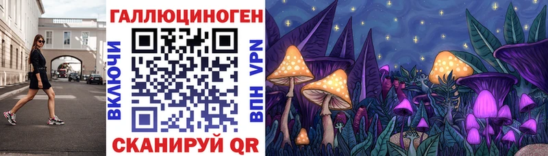 гидра ТОР  Комсомольск  Псилоцибиновые грибы MAGIC MUSHROOMS 